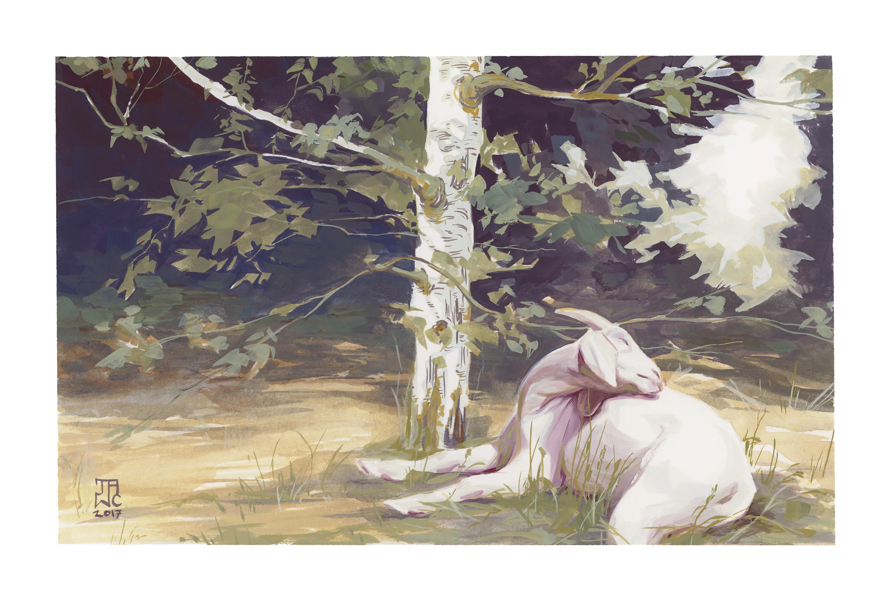 Thumbnail 1